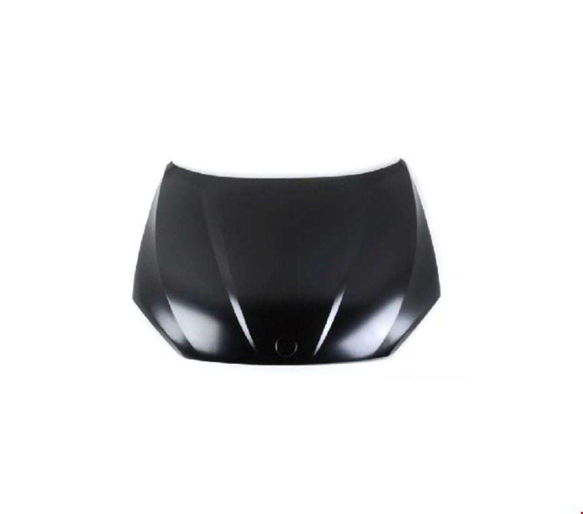 MOTOR KAPUTU (TYG) E84 X1 2009- resmi